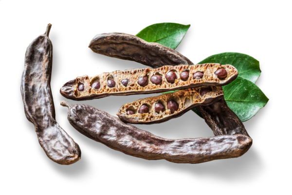 carob1